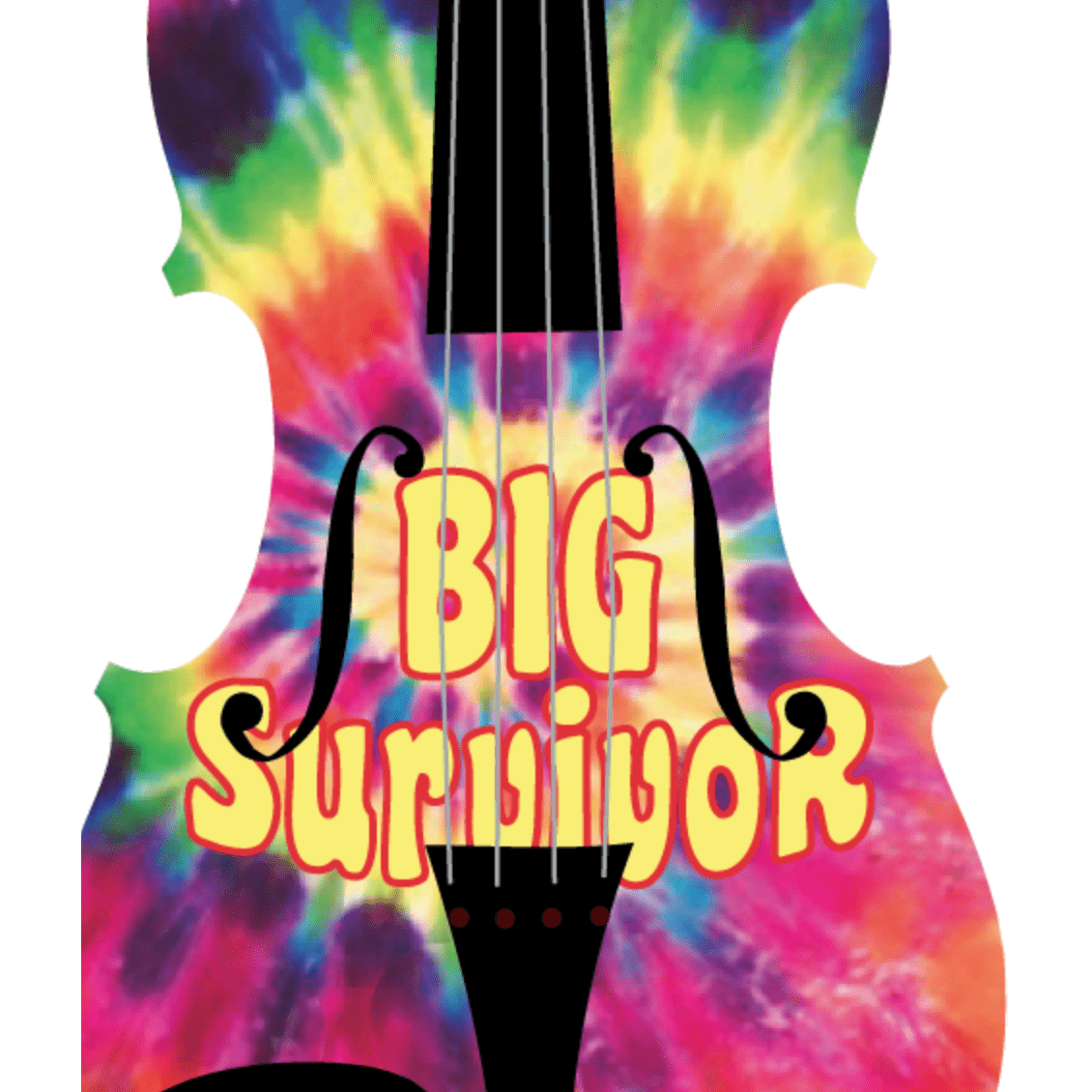 A beautifully crafted customized cello with unique design elements, showcasing its solid spruce top and maple back, ready for performance.