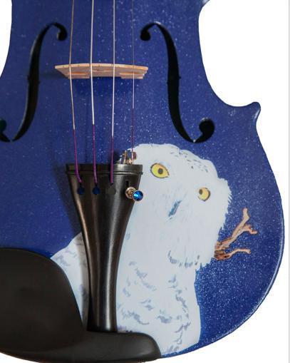 Rozanna's Mystic Owl Blue Glitter Violin featuring a solid spruce top, blue glitter finish, and unique owl artwork with a matching blue bow.