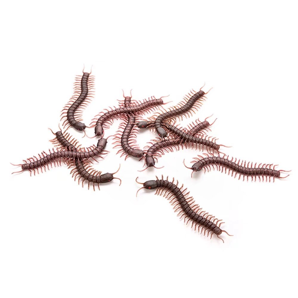 Several centipedes on a white background.