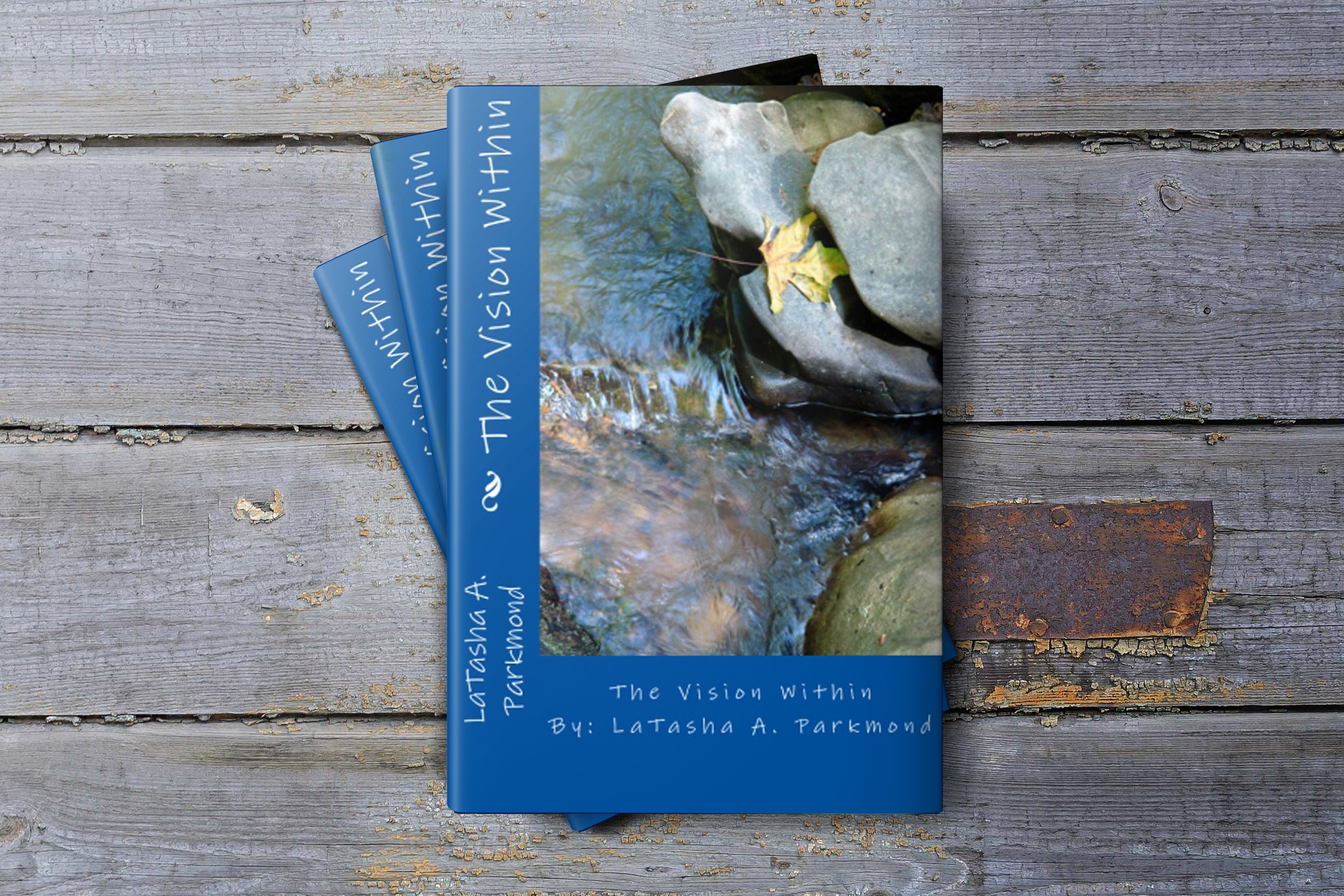 Cover of 'The Vision Within', a paperback book featuring a serene design that reflects themes of love and peace.
