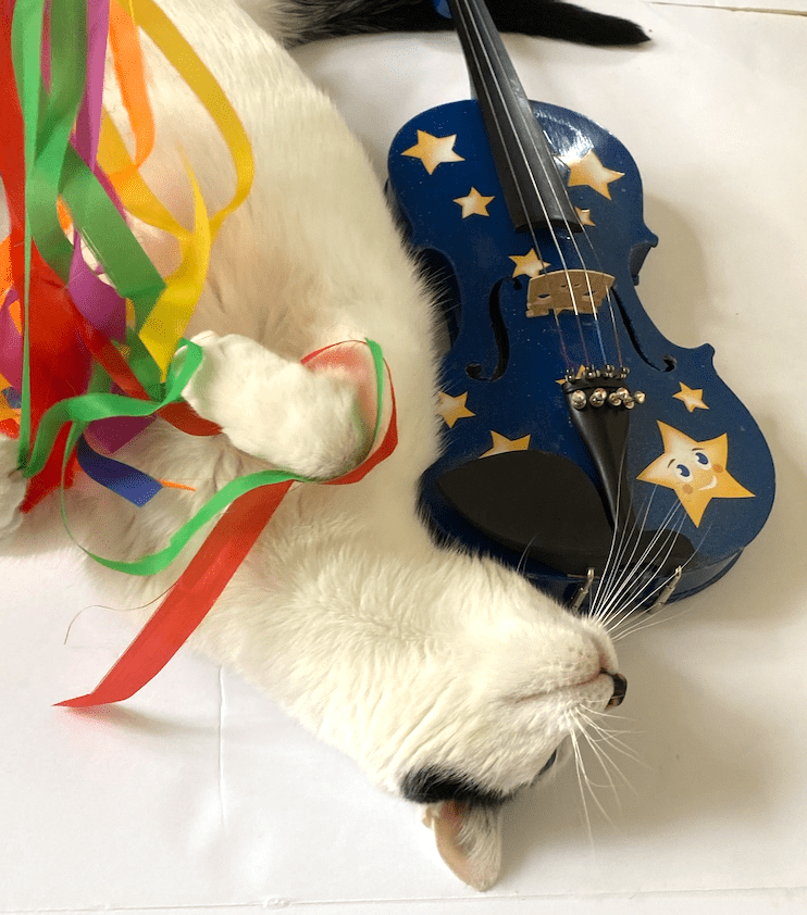 Twinkle Star Violin Outfit, 1/2 with stars and moon design, featuring crystals and a matching blue bow.