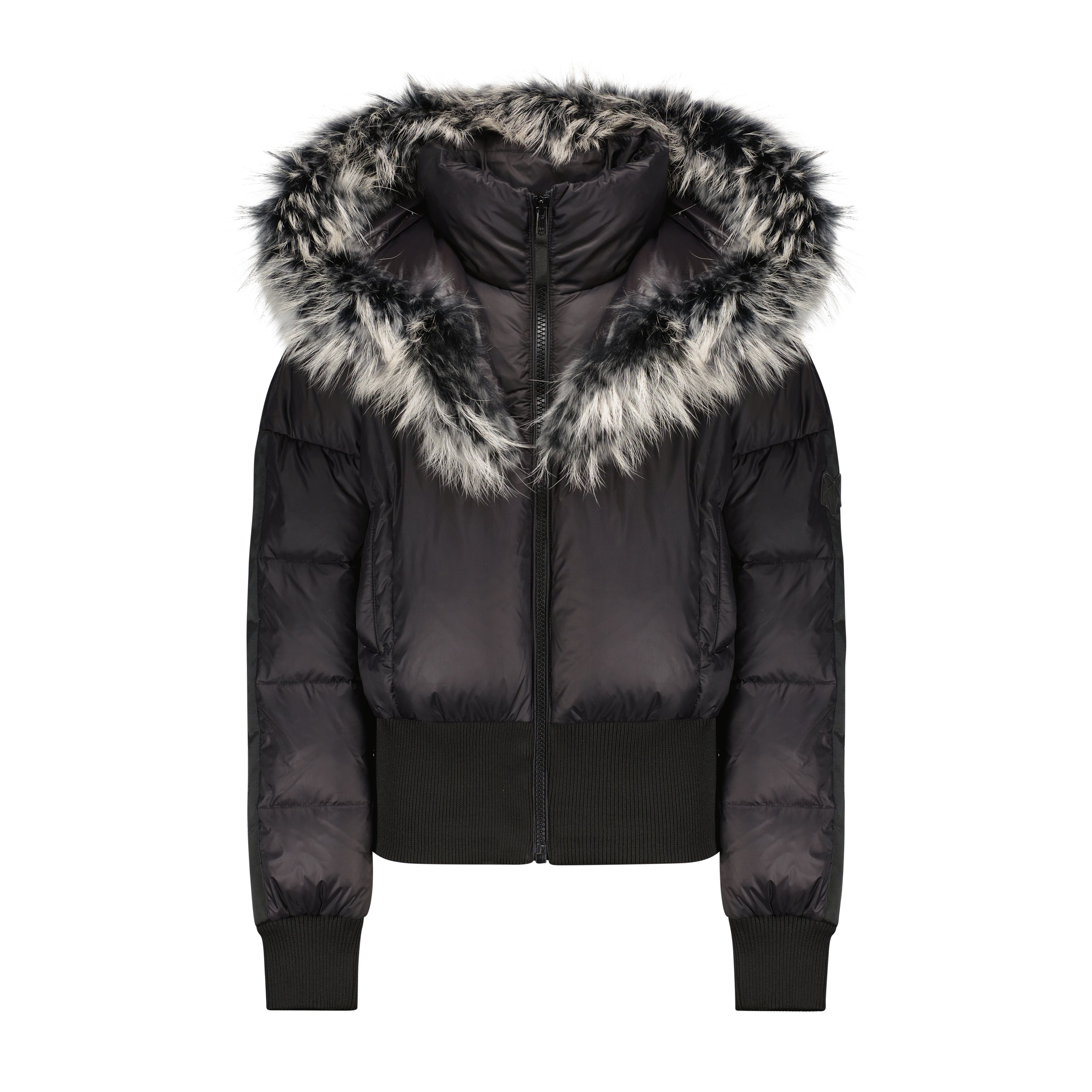 The Yang coat featuring a fitted bomber style with plush raccoon fur accents on the collar and hood, showcasing elegance and warmth.