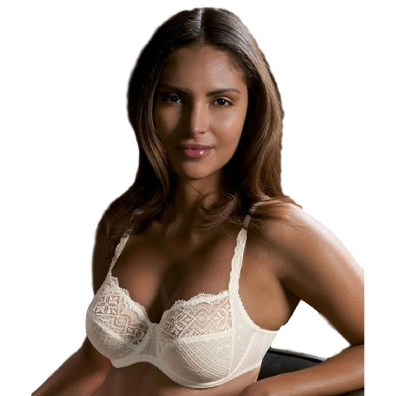 Conturelle Belle De Jour sheer lace plus size bra in black, featuring elegant lace design, adjustable straps, and supportive construction.