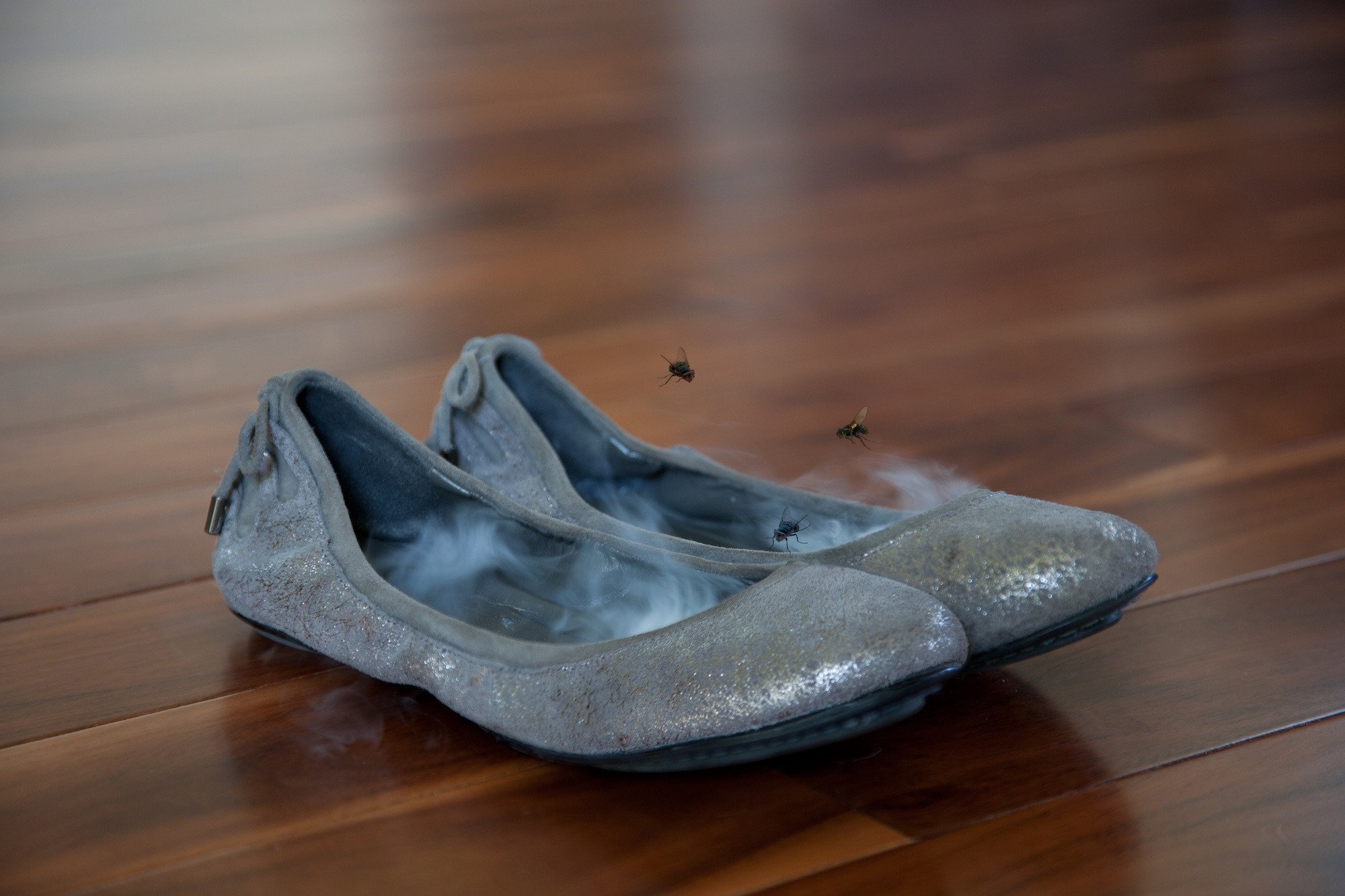 Gray shoes emitting smoke, flies.