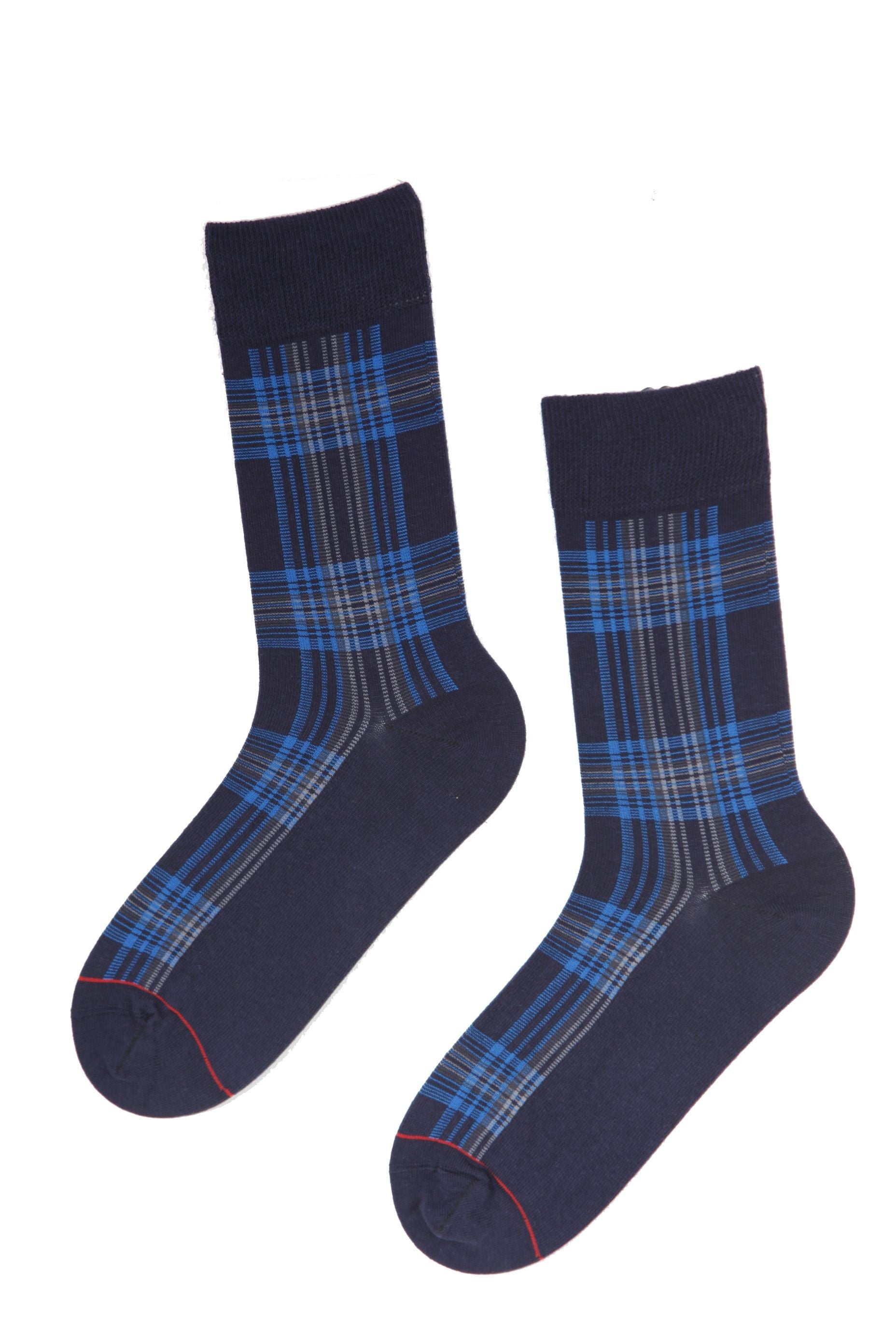 A pair of CARL men's socks featuring stylish blue stripes, perfect for formal and casual wear.
