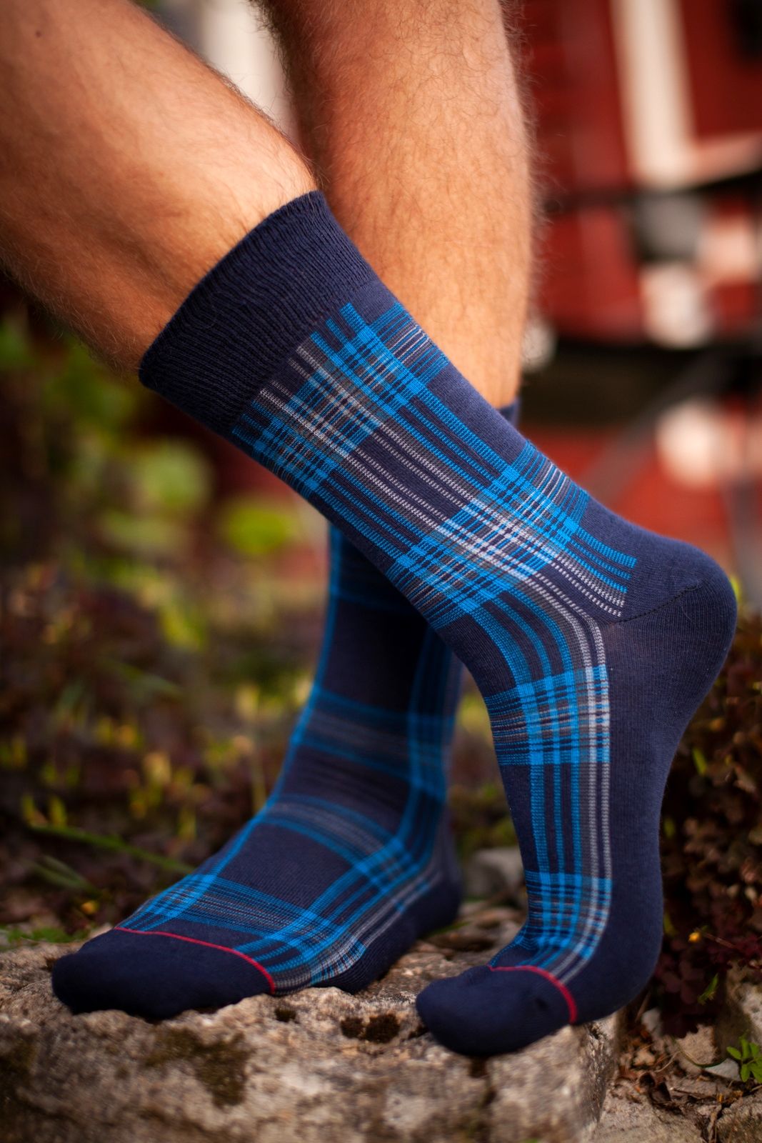A pair of CARL men's socks featuring stylish blue stripes, perfect for formal and casual wear.