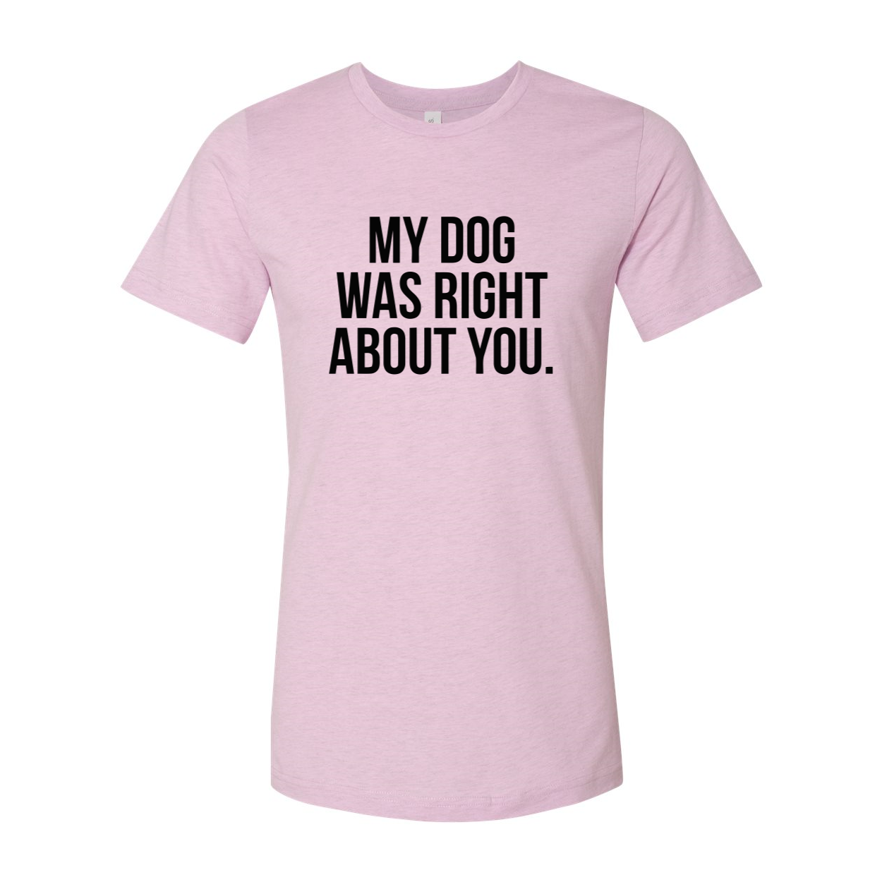 DT0523 My Dog Was Right About You Shirt in various colors, showcasing its soft fabric and stylish design.