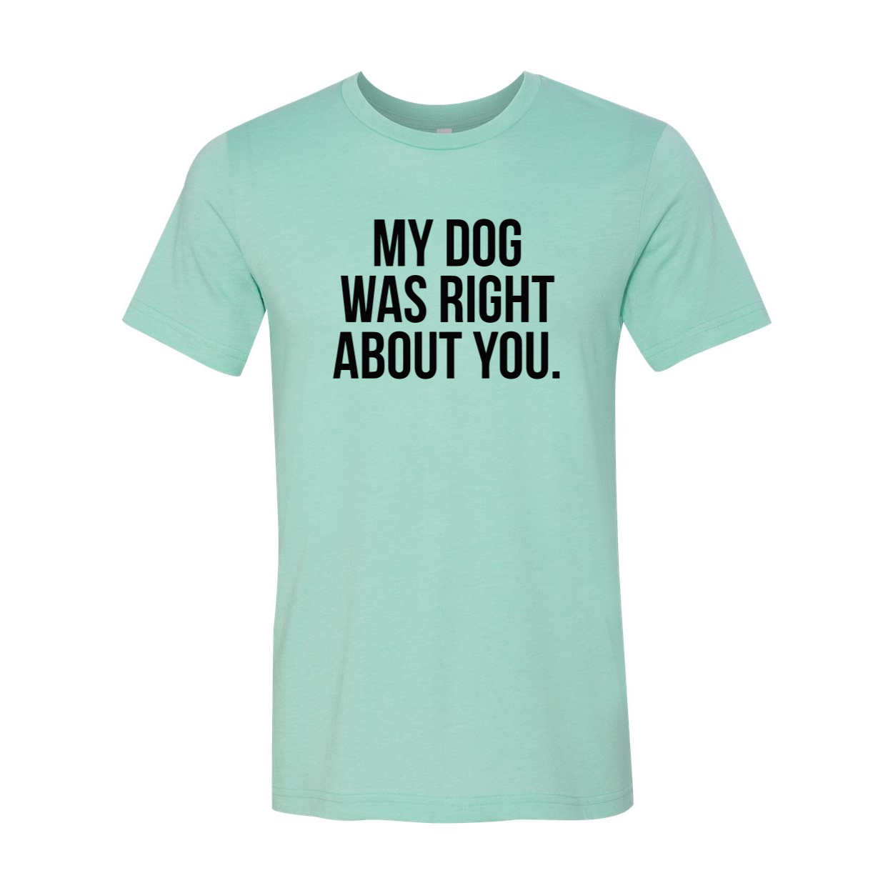 DT0523 My Dog Was Right About You Shirt in various colors, showcasing its soft fabric and stylish design.