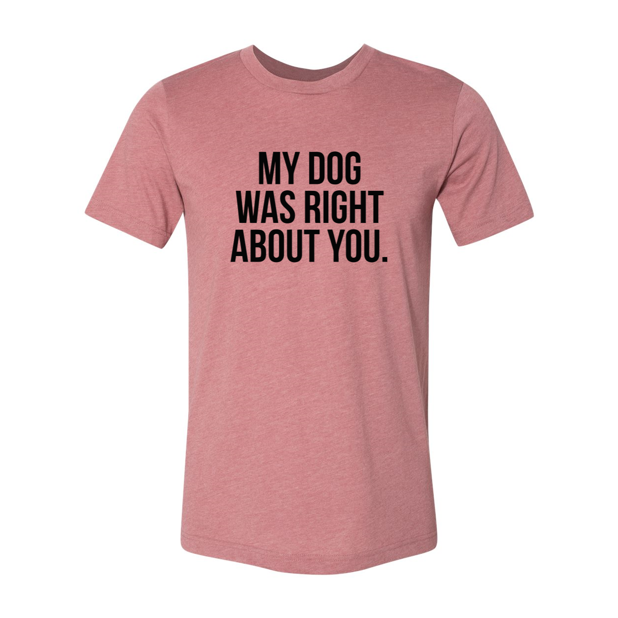 DT0523 My Dog Was Right About You Shirt in various colors, showcasing its soft fabric and stylish design.