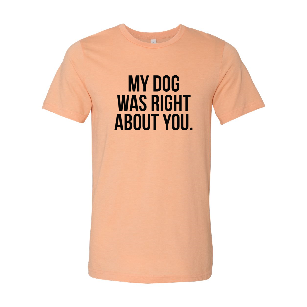 DT0523 My Dog Was Right About You Shirt in various colors, showcasing its soft fabric and stylish design.