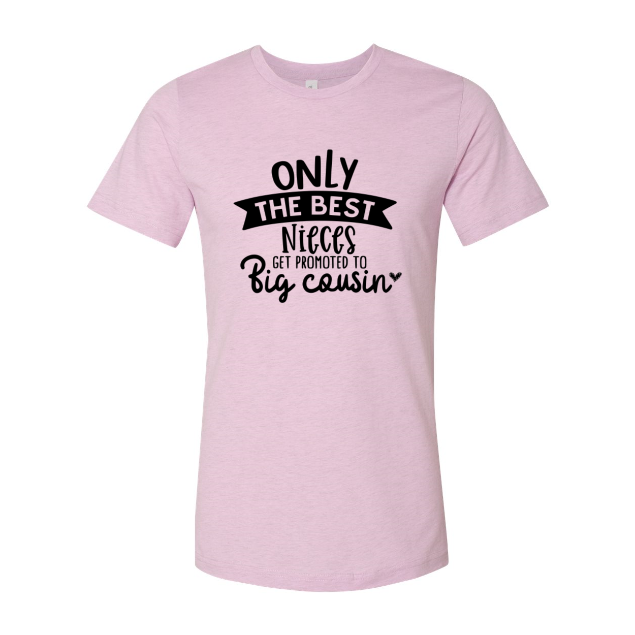 DT1019 t-shirt featuring the phrase 'Only the best nieces get promoted to b', made from soft airlume combed cotton.