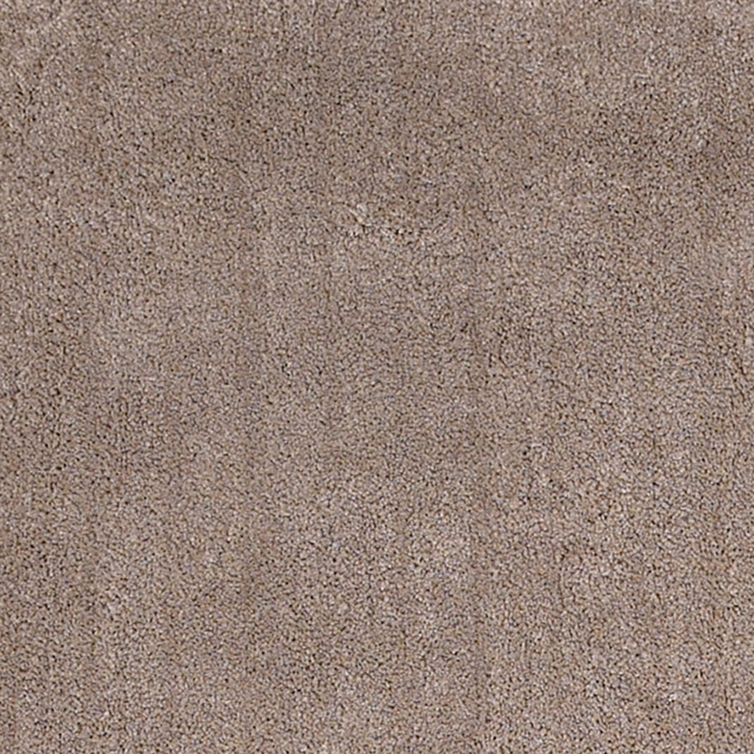 3 inches x 5 inches beige heather indoor shag rug with soft texture and modern design, perfect for enhancing home decor.