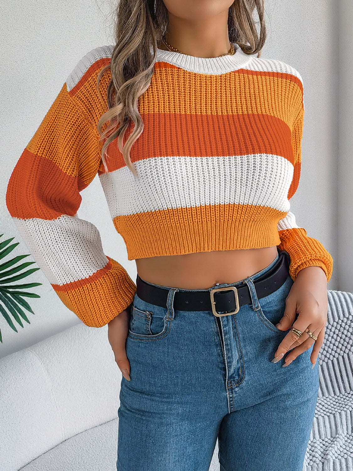 Color Block Round Neck Cropped Sweater featuring vibrant colors and a stylish design, perfect for casual wear.
