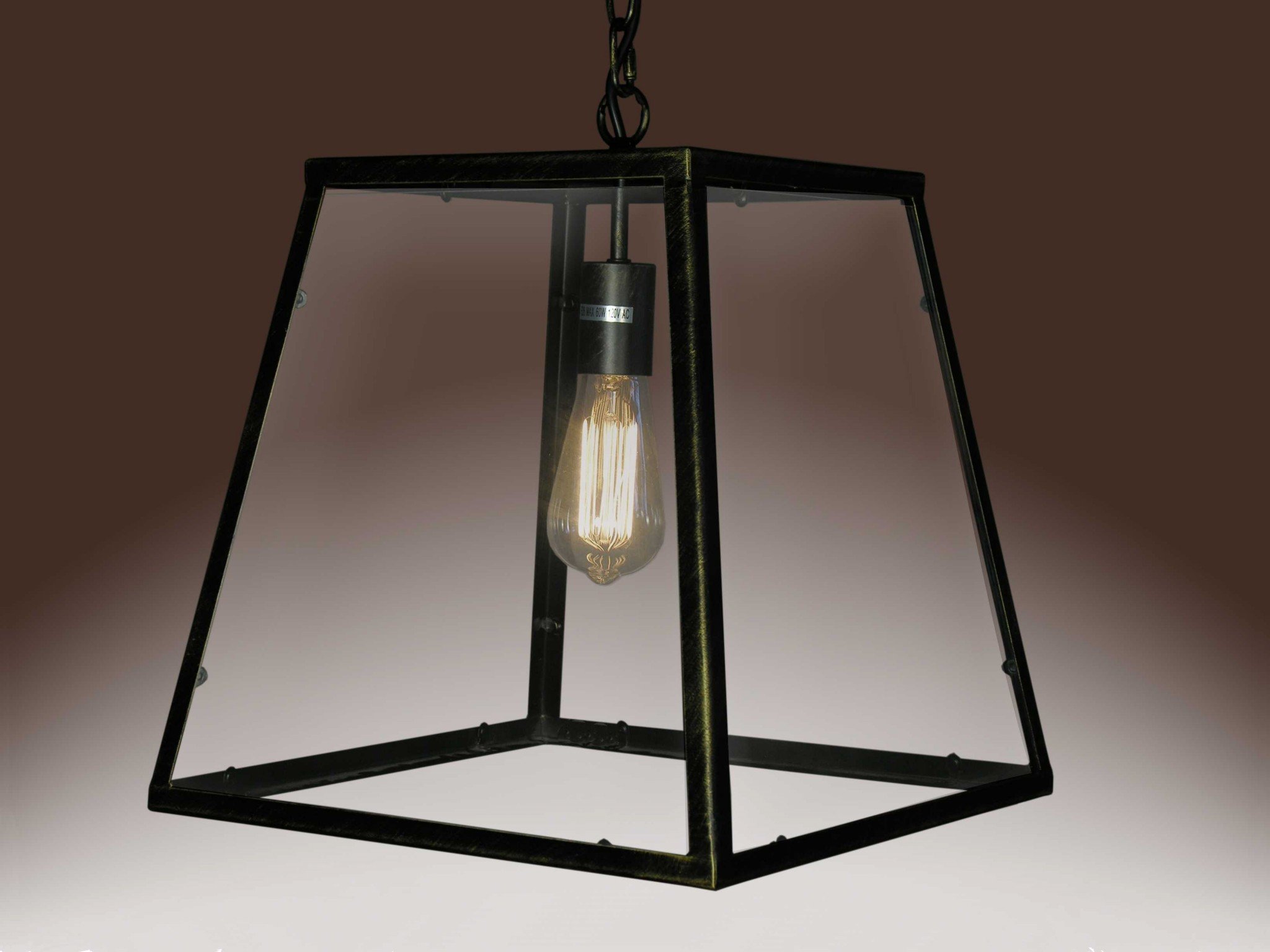 Lucy 1-light Black Edison Lamp featuring a clear glass shade and antique metal finish, ideal for modern and transitional home decor.