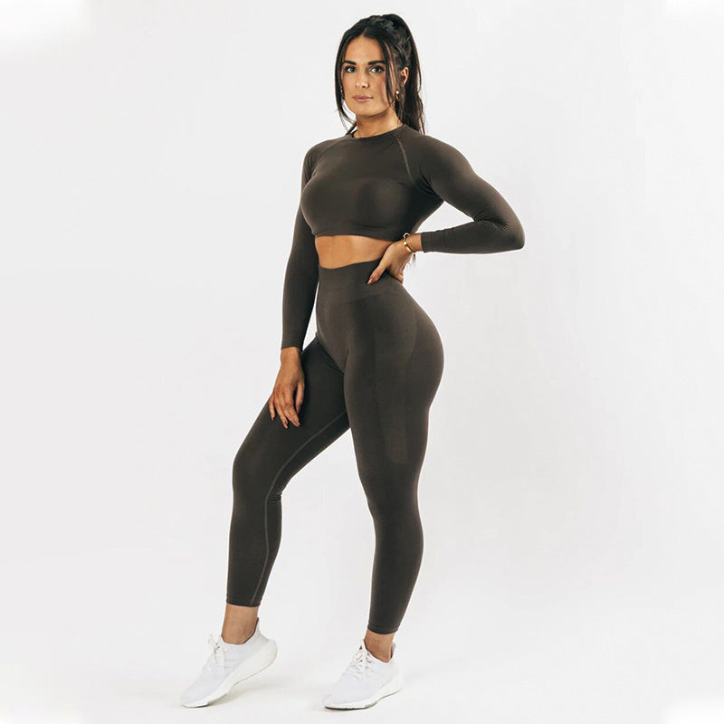 A stylish Seamless Yoga Long Sleeve Top for women, featuring a seamless design and moisture-wicking fabric, perfect for various fitness activities.